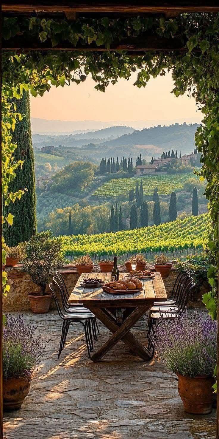 Vineyard table at sunset